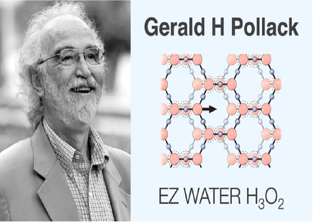 Dr. Gerald Pollack 細胞生命機制理論的核心架構